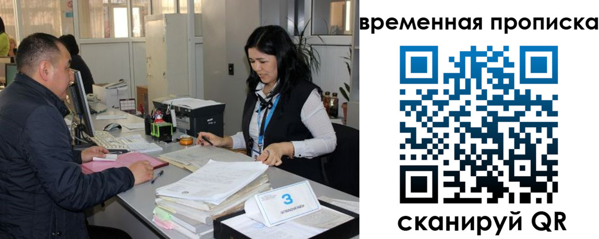временная регистрация поиск в Алексеевке